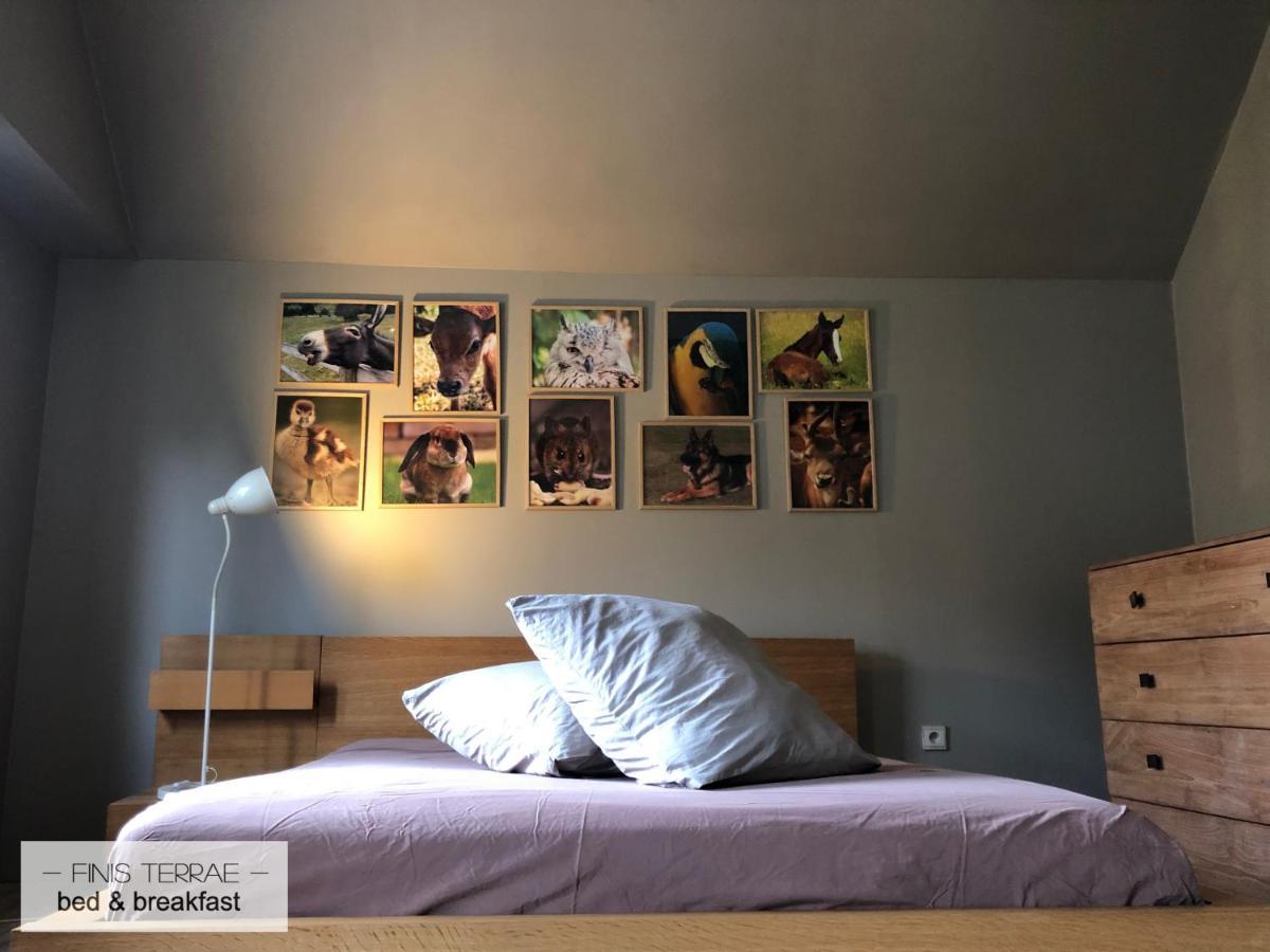 Huis Aan Puyenbroeck Wachtebeke ภายนอก รูปภาพ