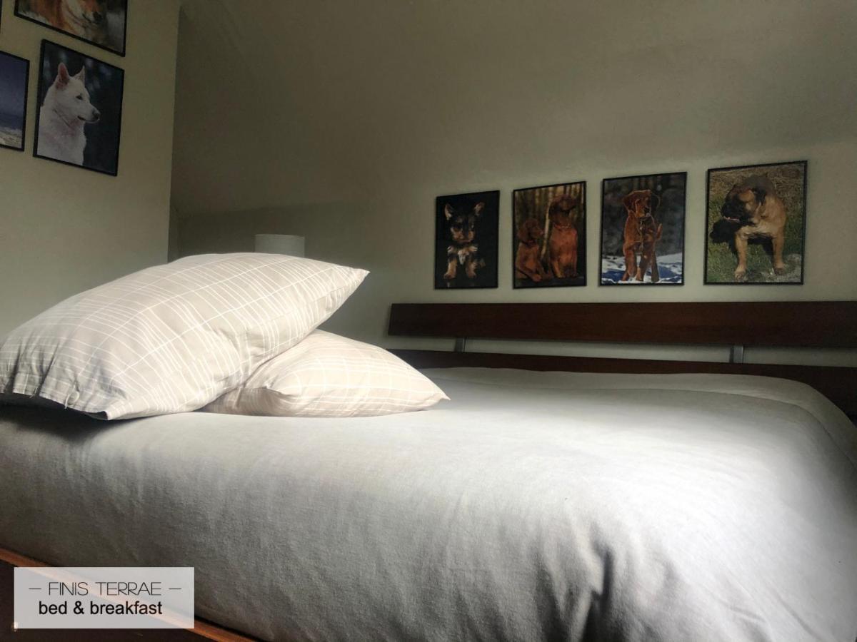 Huis Aan Puyenbroeck Wachtebeke ภายนอก รูปภาพ